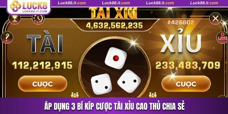 Áp dụng 3 bí kíp cược tài xỉu cao thủ chia sẻ