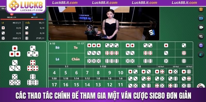 Các thao tác chính để tham gia một ván cược sicbo đơn giản