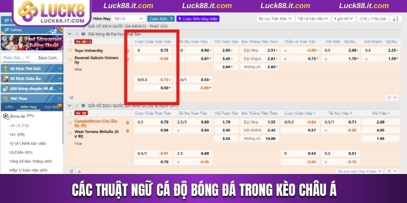 Các thuật ngữ cá độ bóng đá dễ bắt gặp trong kèo châu Á
