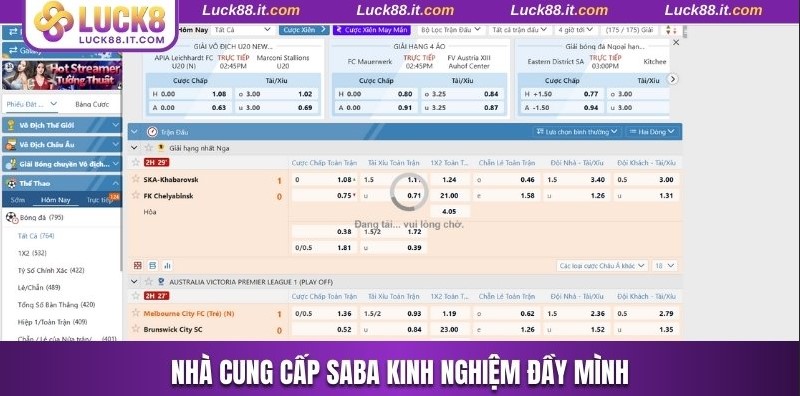 Nhà cung cấp SABA kinh nghiệm đầy mình