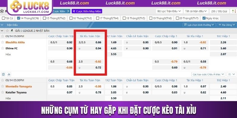 Những cụm từ hay gặp khi đặt cược kèo Tài Xỉu