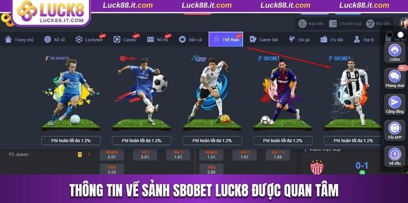 Thông tin về sảnh SBOBET Luck8 được quan tâm