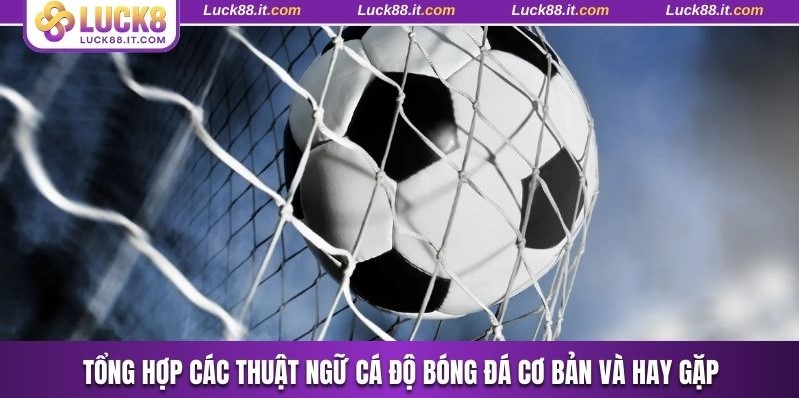 Thuật ngữ cá độ bóng đá