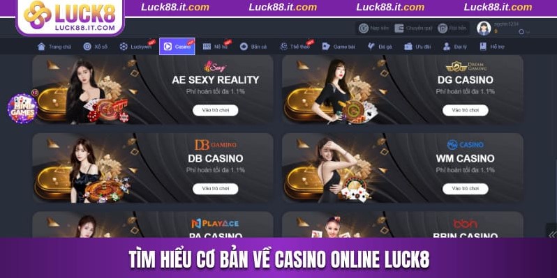 Tìm hiểu cơ bản về casino online Luck8